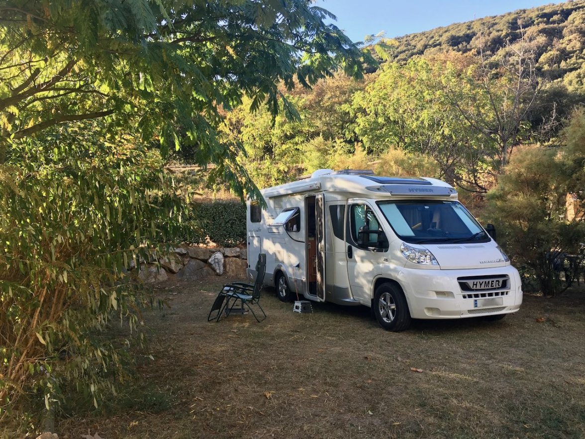 IMG_4365.jpeg IMG_4365.jpeg