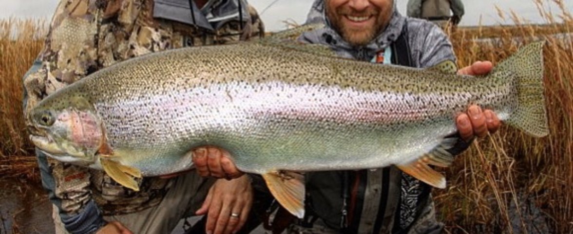 B68208B0-9D27-4A6D-AB8C-2DBFD887ED68.jpeg B68208B0-9D27-4A6D-AB8C-2DBFD887ED68.jpeg