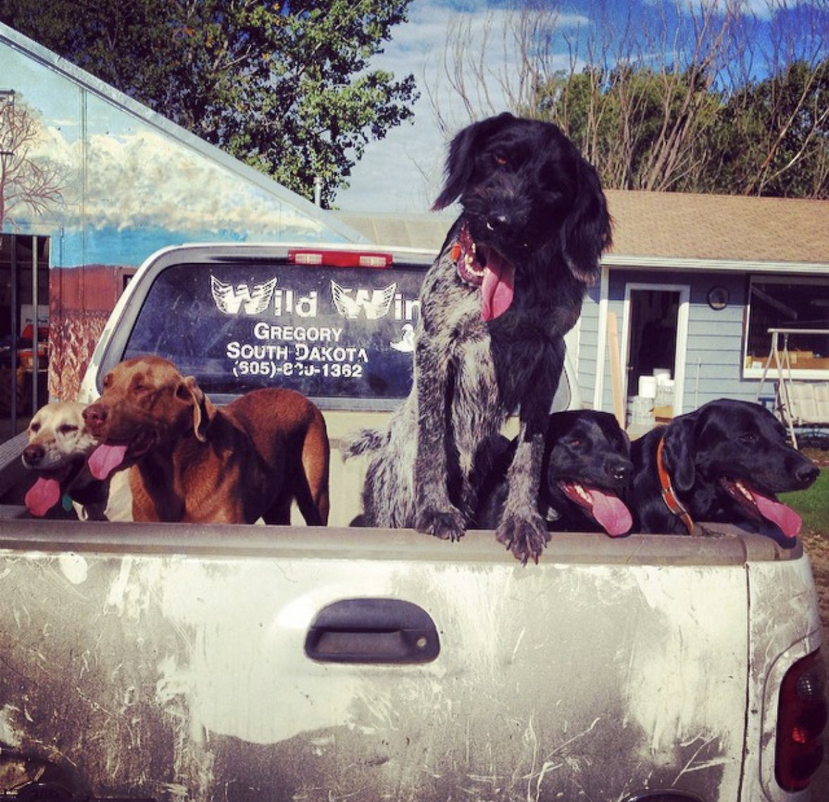 AFAA8308-417A-4DD3-96C0-33A913770509.jpeg AFAA8308-417A-4DD3-96C0-33A913770509.jpeg