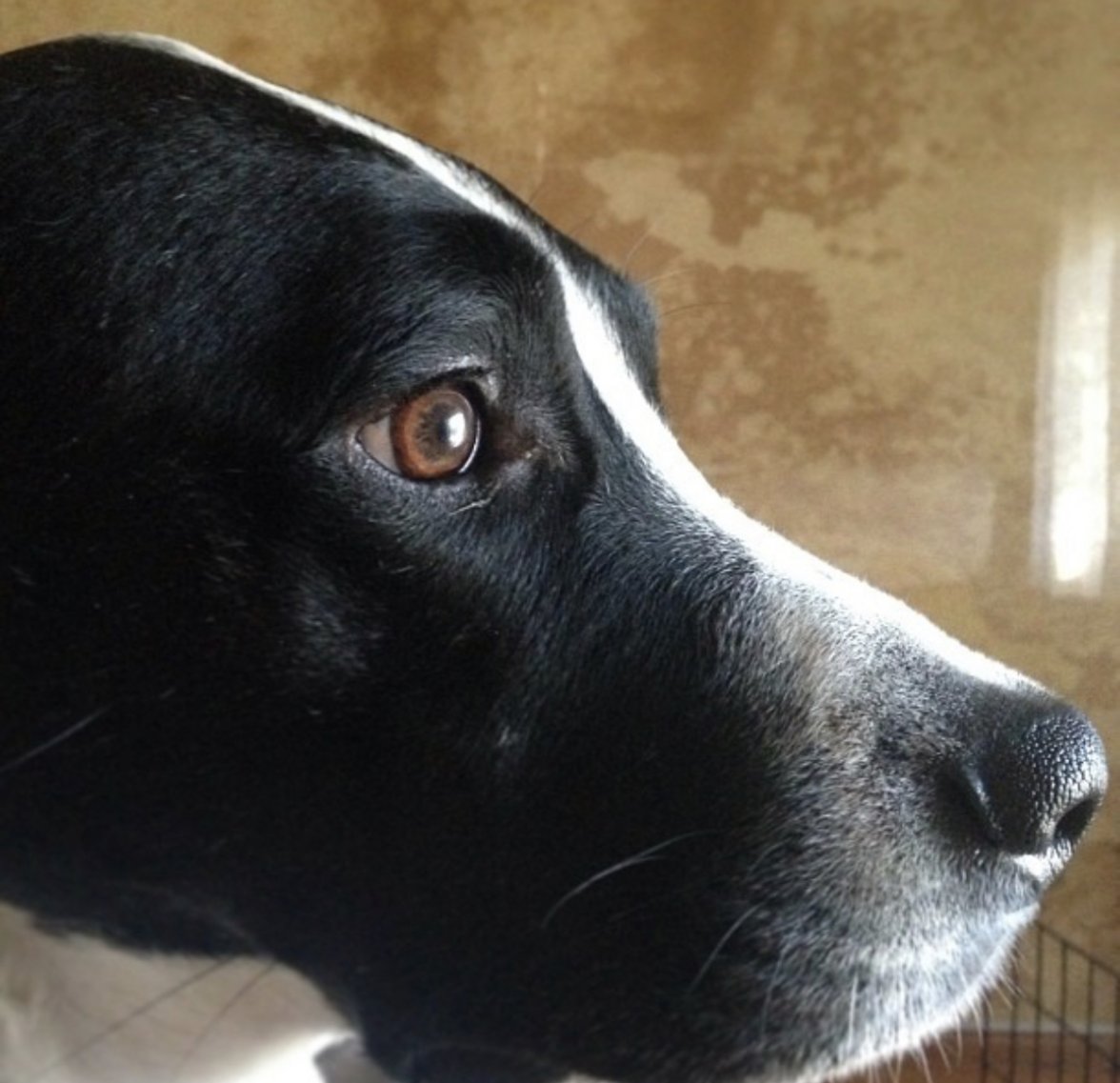 B858FB2F-7753-4398-8CAD-71FC5E74DAA0.jpeg B858FB2F-7753-4398-8CAD-71FC5E74DAA0.jpeg