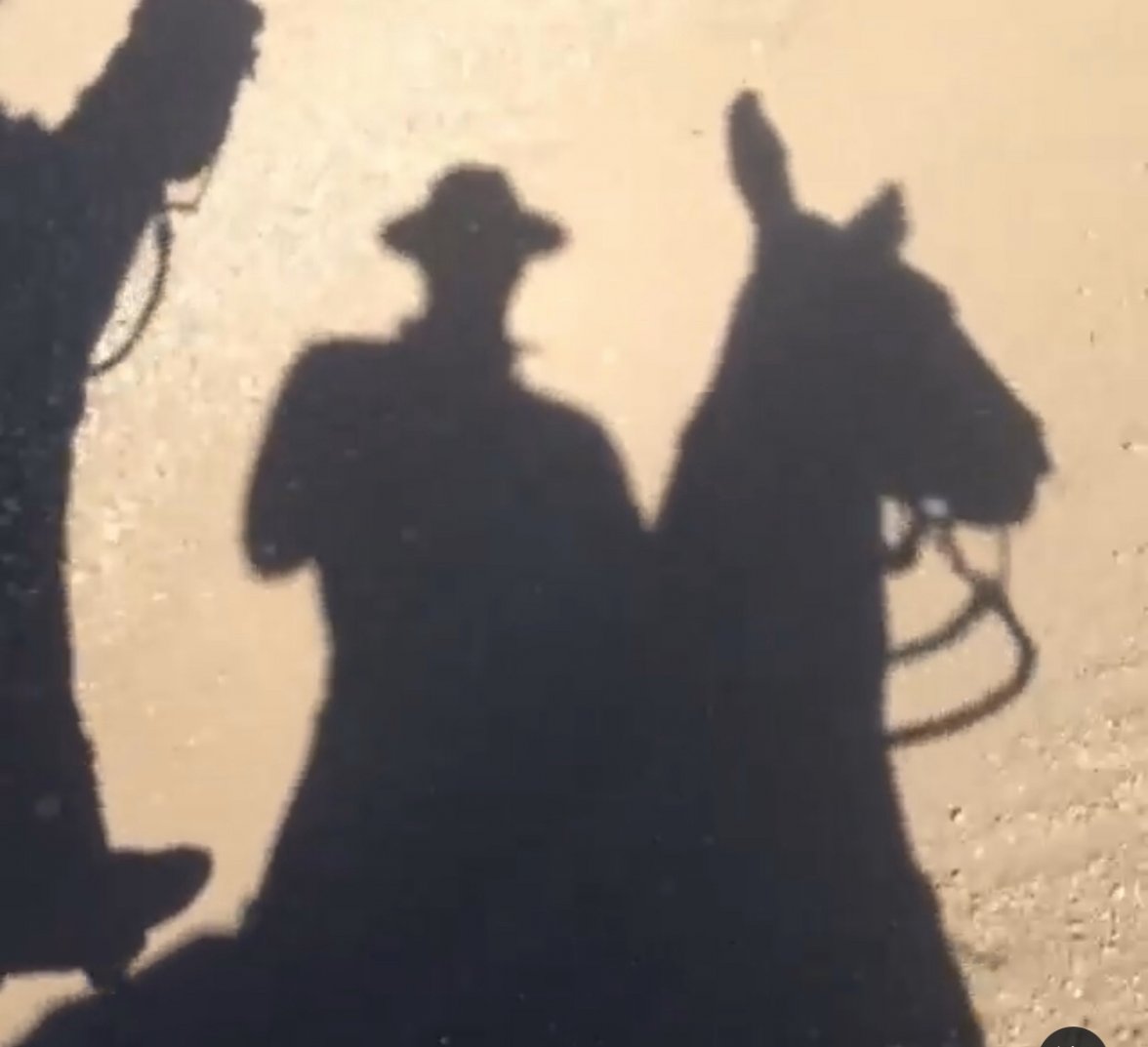 B202CD2E-20F9-4E95-8939-201291EB409F.jpeg B202CD2E-20F9-4E95-8939-201291EB409F.jpeg