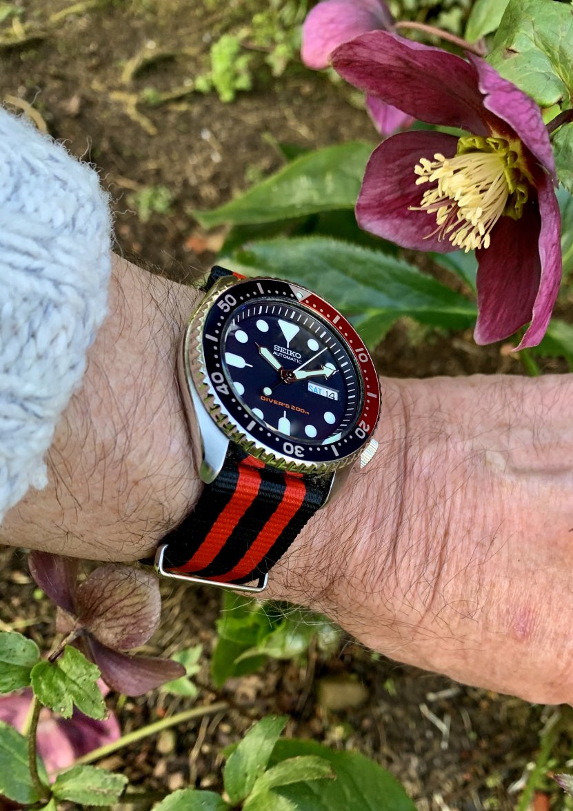 38810865-AC73-4C49-9918-F37DDFA5C0BE_1_201_a.jpeg 38810865-AC73-4C49-9918-F37DDFA5C0BE_1_201_a.jpeg