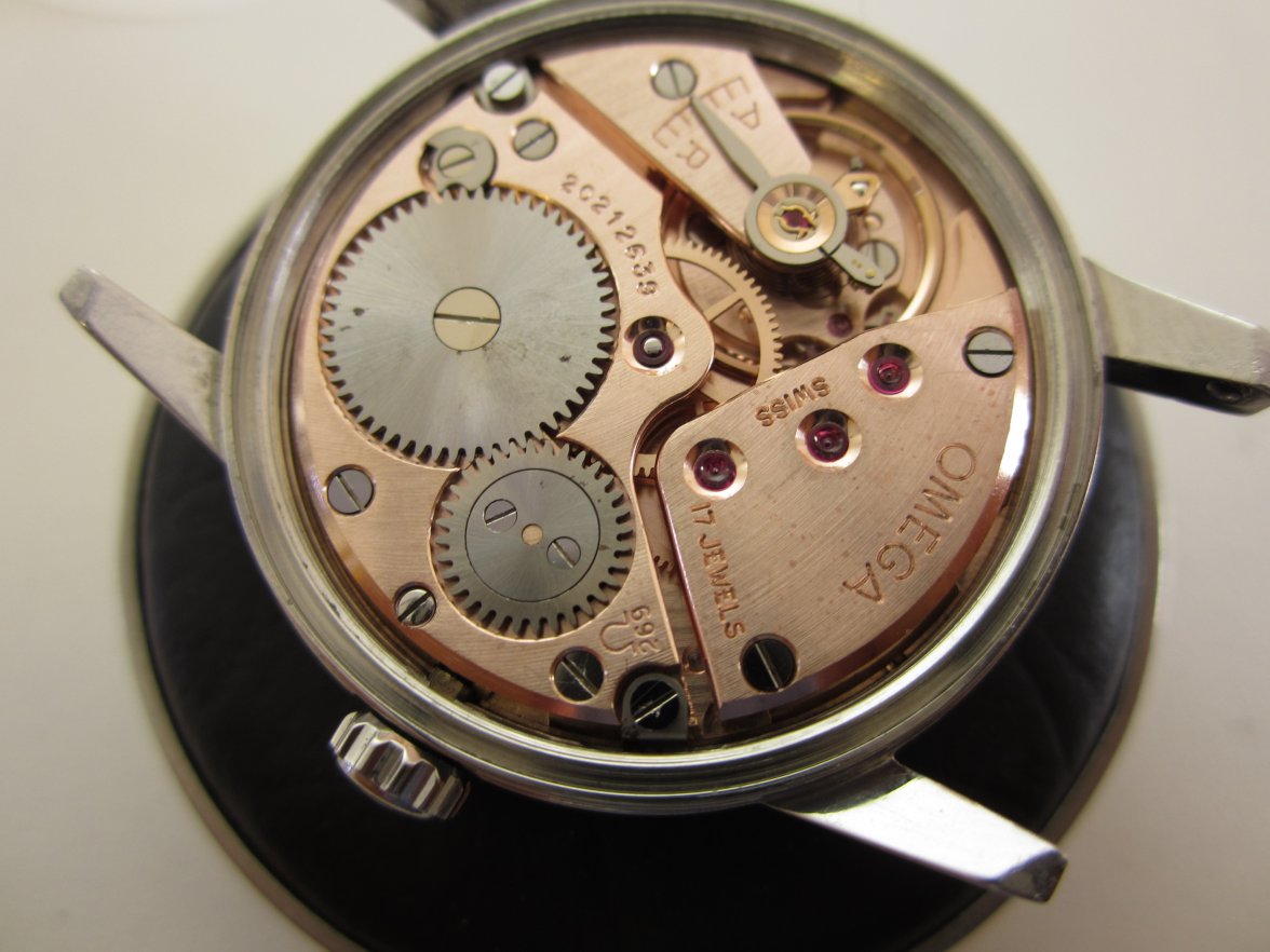 IMG_0910.JPG IMG_0910.JPG