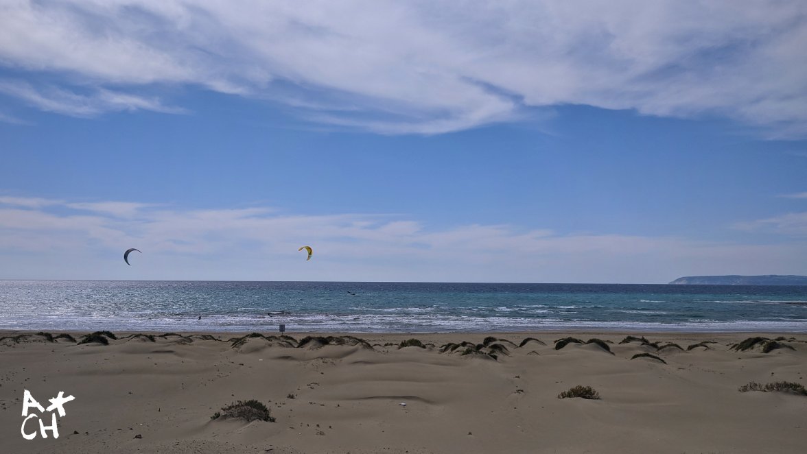 2020-03-22 04.55.16 1.jpg