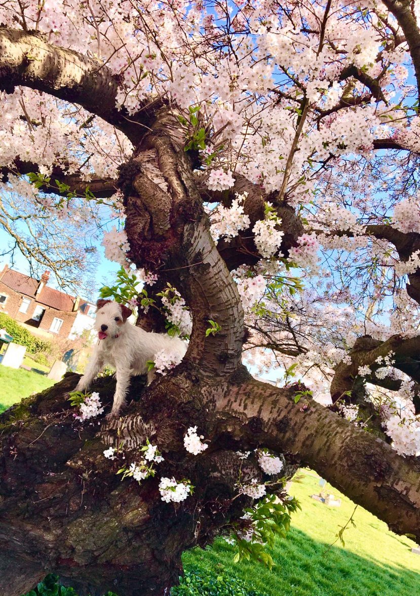 9E0A6138-1EAB-475C-BE8F-A016BF7BA060.jpeg 9E0A6138-1EAB-475C-BE8F-A016BF7BA060.jpeg