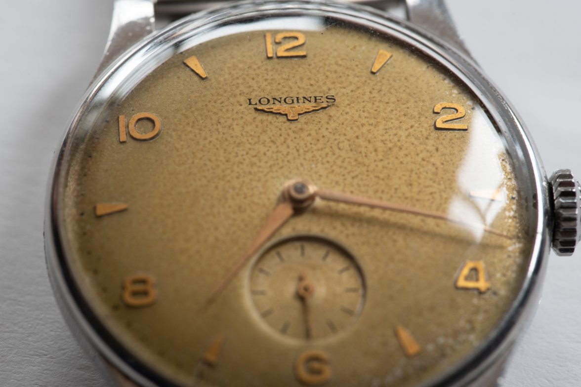 DSC_8651.jpg DSC_8651.jpg