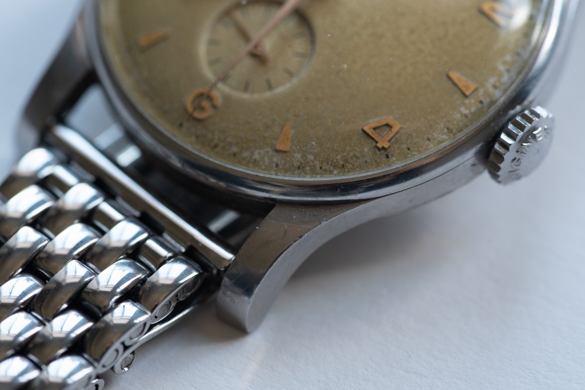 DSC_8679.jpg DSC_8679.jpg