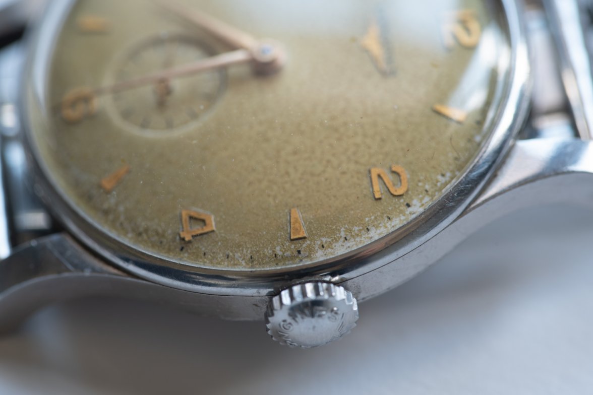 DSC_8681.jpg DSC_8681.jpg