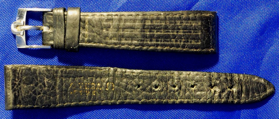 DSC_1913.JPG DSC_1913.JPG