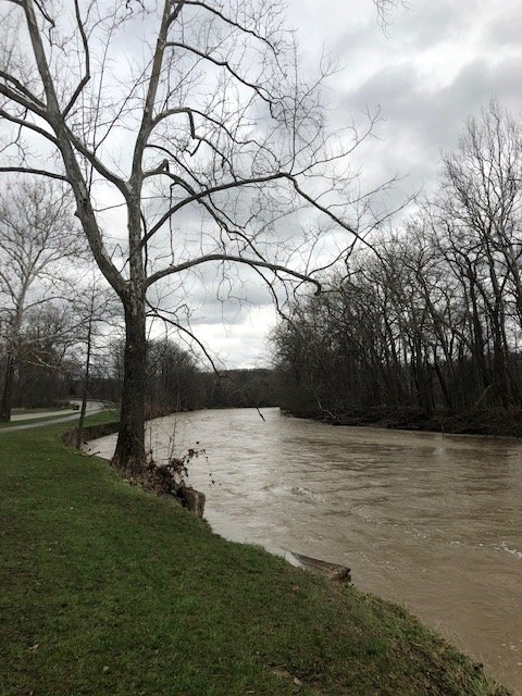 Rocky River 3.30.20.jpg