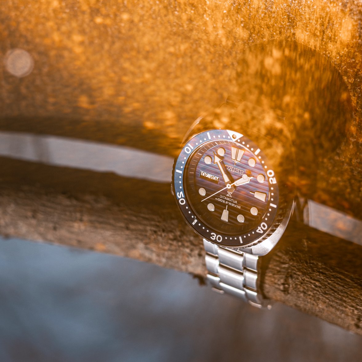 STO Turtle & Rusty Barrel-3.jpg