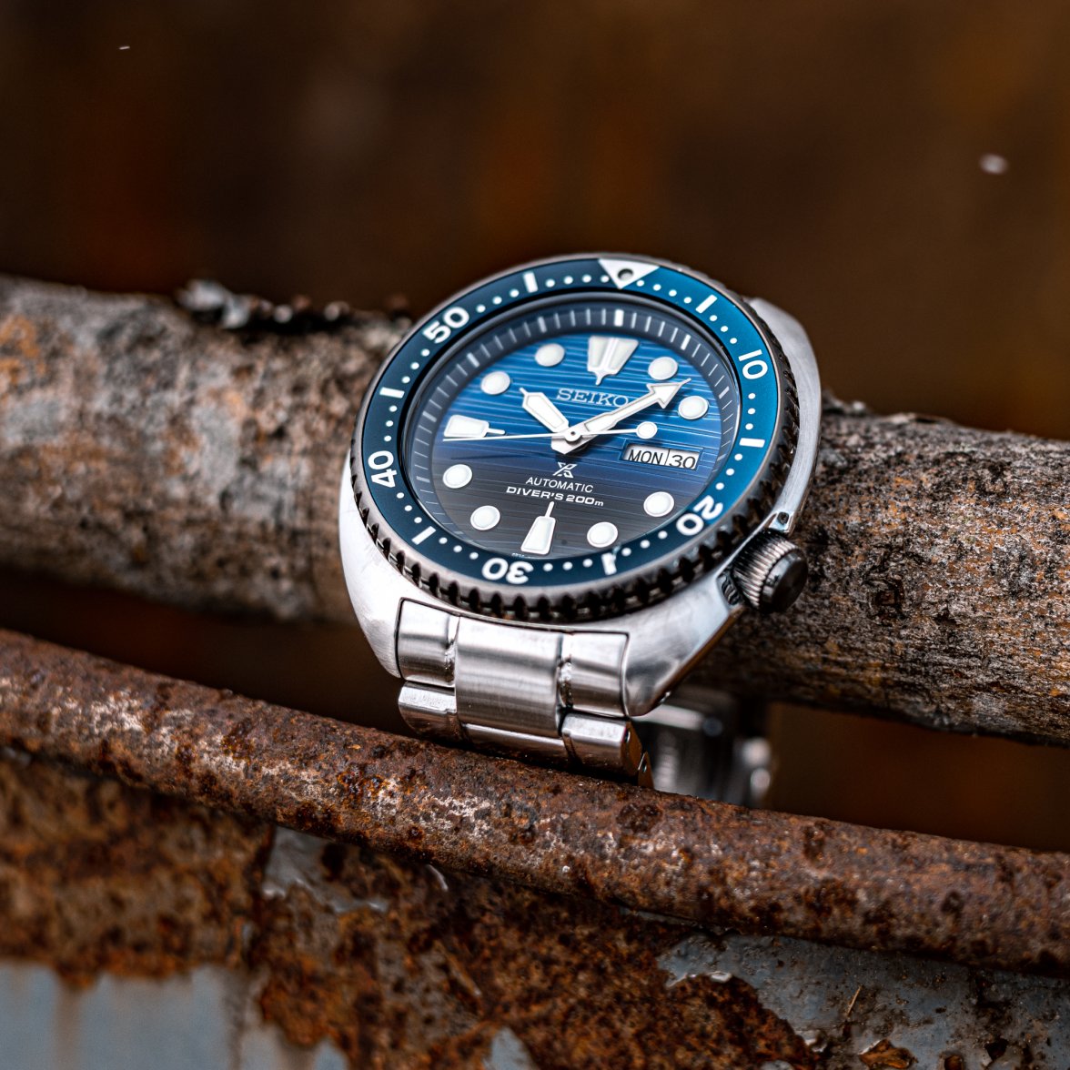 STO Turtle & Rusty Barrel-5.jpg