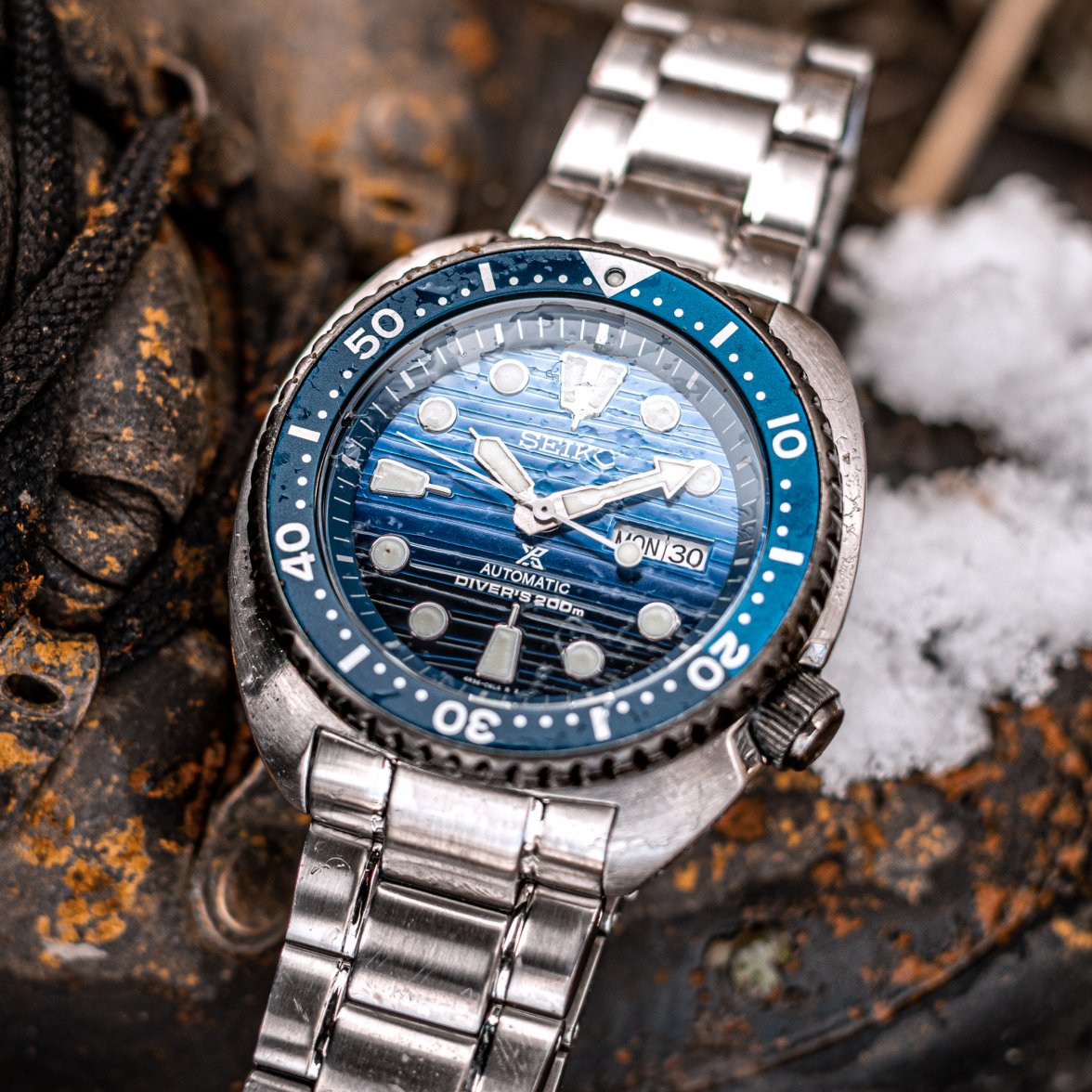 STO Turtle & Rusty Barrel-7.jpg