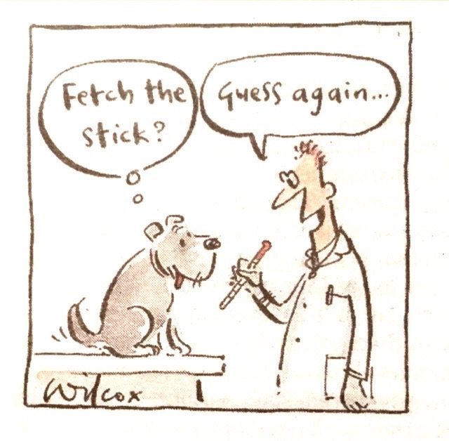 Visiting the vet.jpg