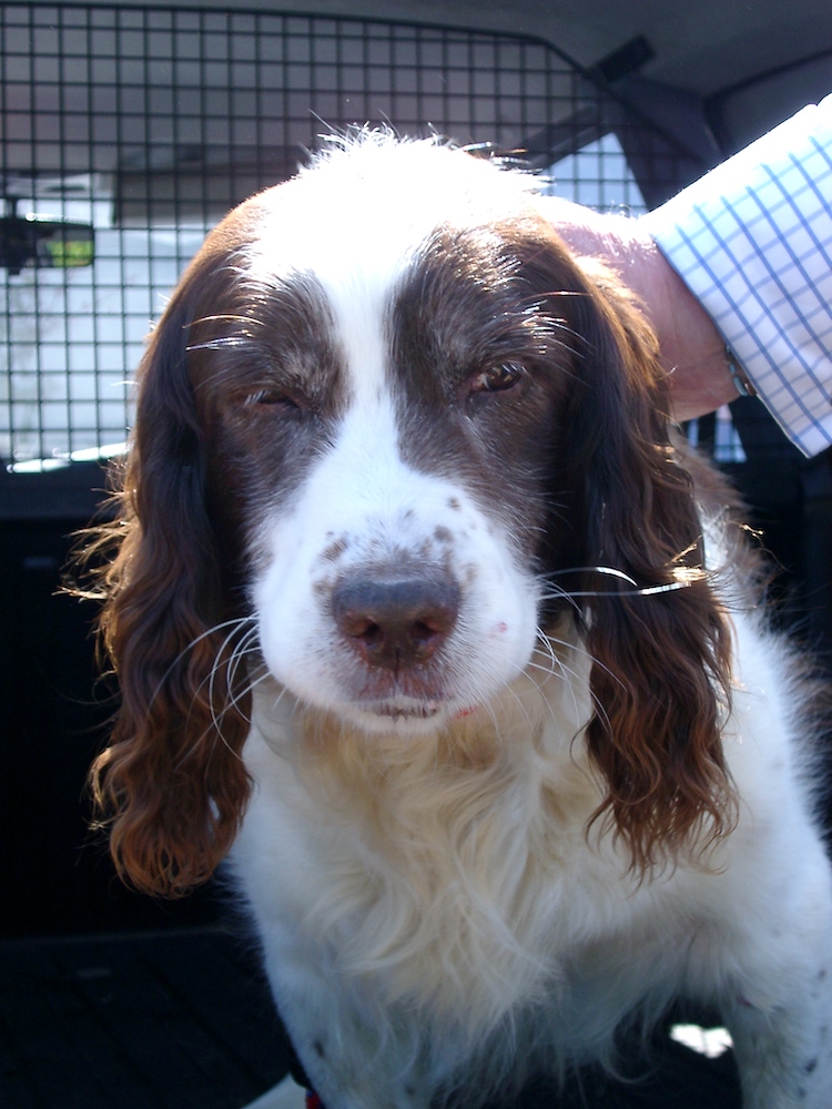 2002-08-10 14-56 copy.jpg