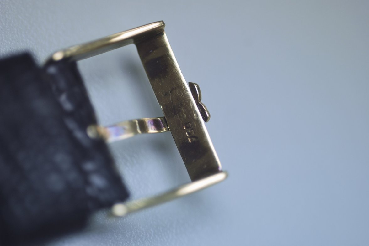 DSC_0240.JPG DSC_0240.JPG