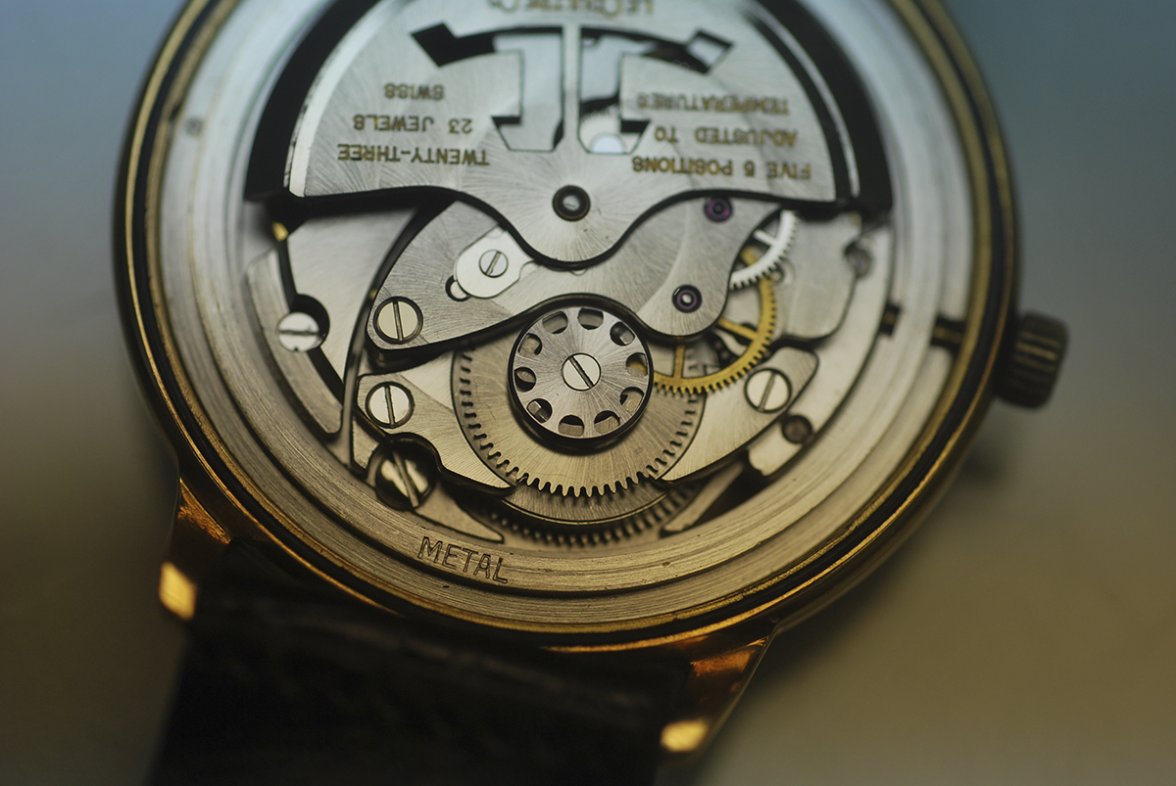 DSC_0262.JPG DSC_0262.JPG