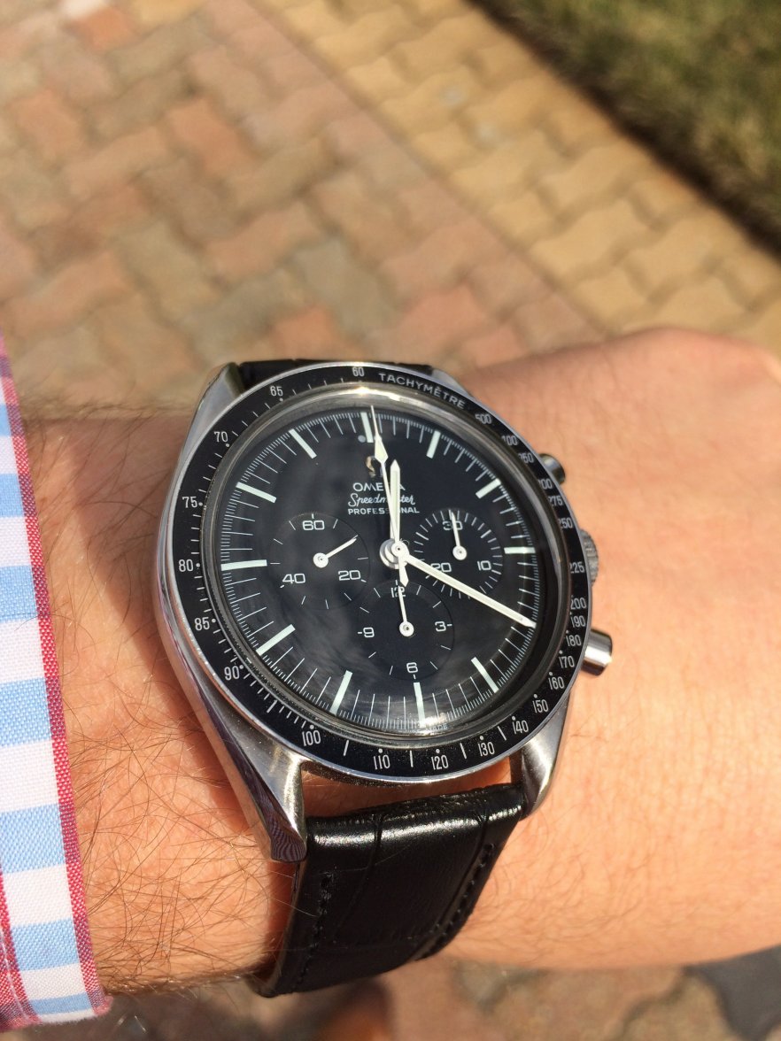 Speedy daily 012015.JPG