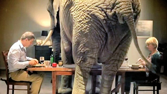 elephant-in-the-room.jpg