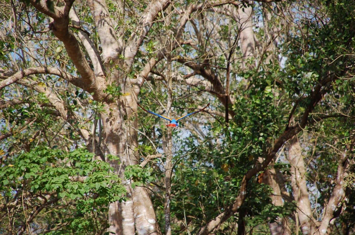 Costa Rica '09 757.jpg