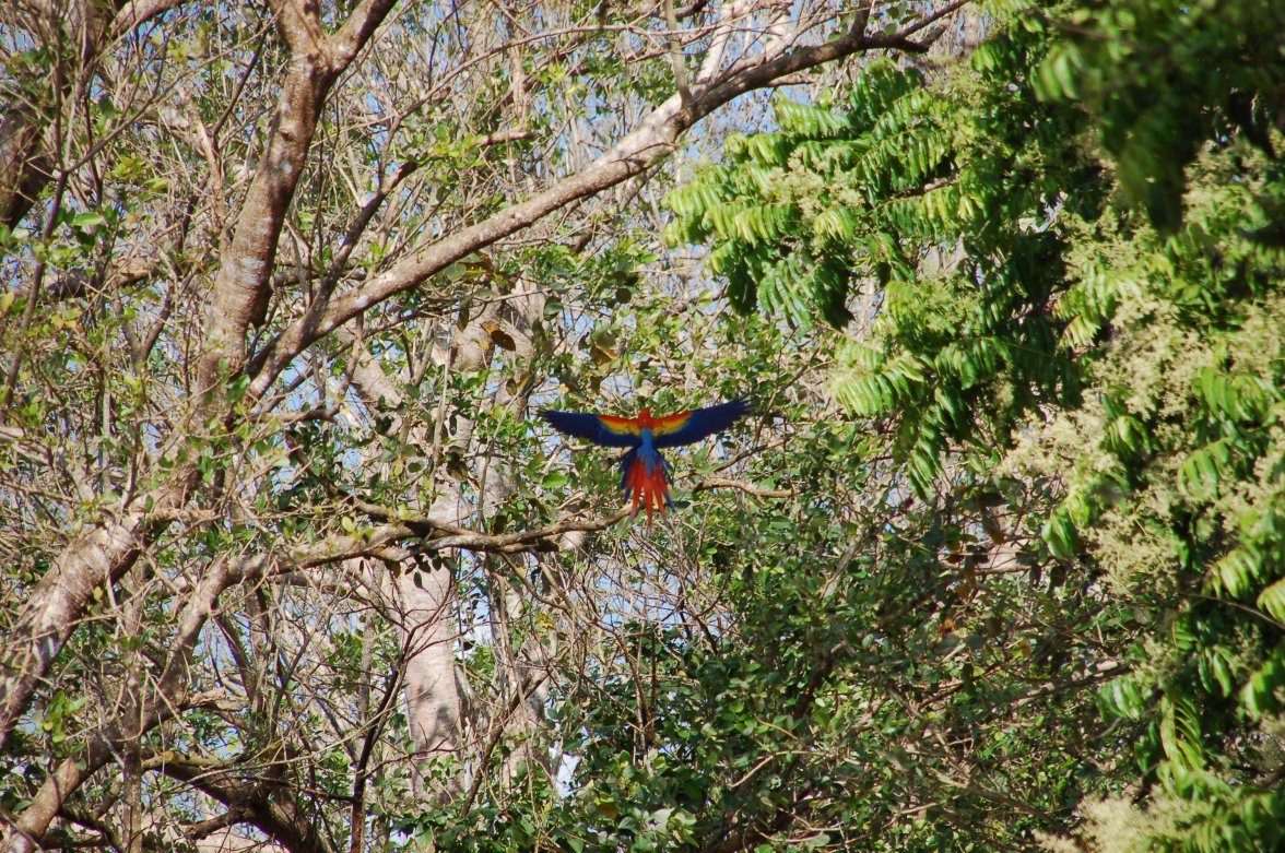 Costa Rica '09 759.jpg