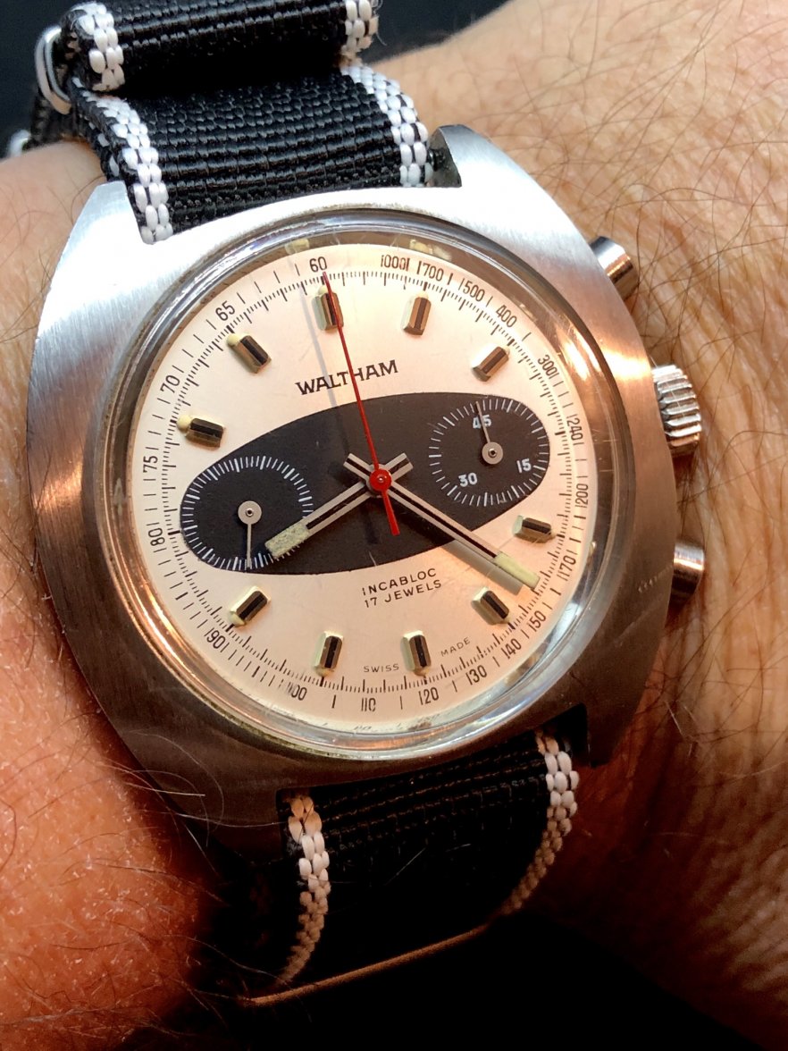 8D733CEB-263F-4900-A051-D8F06297F3E2.jpeg 8D733CEB-263F-4900-A051-D8F06297F3E2.jpeg