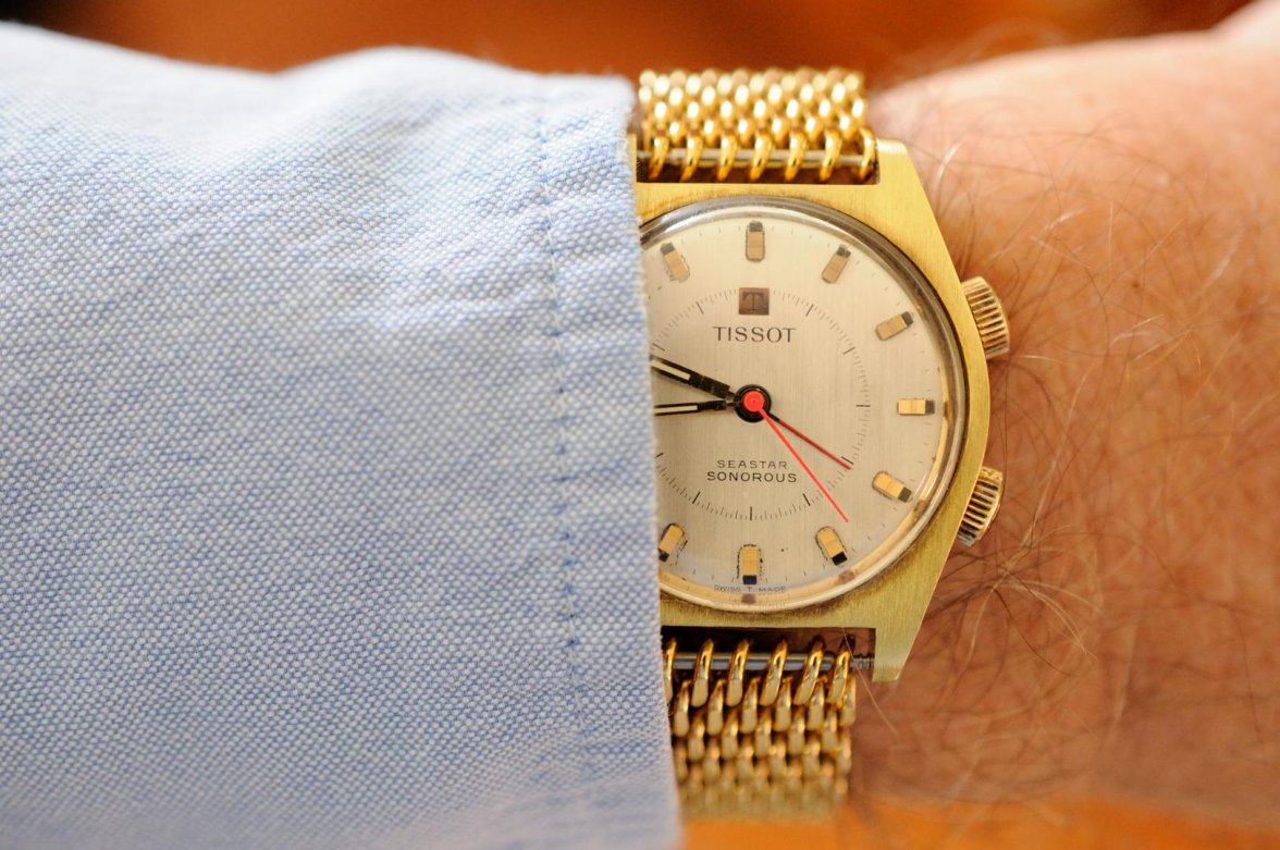 Seastar Sonorous_102316 4115.jpg Seastar Sonorous_102316 4115.jpg