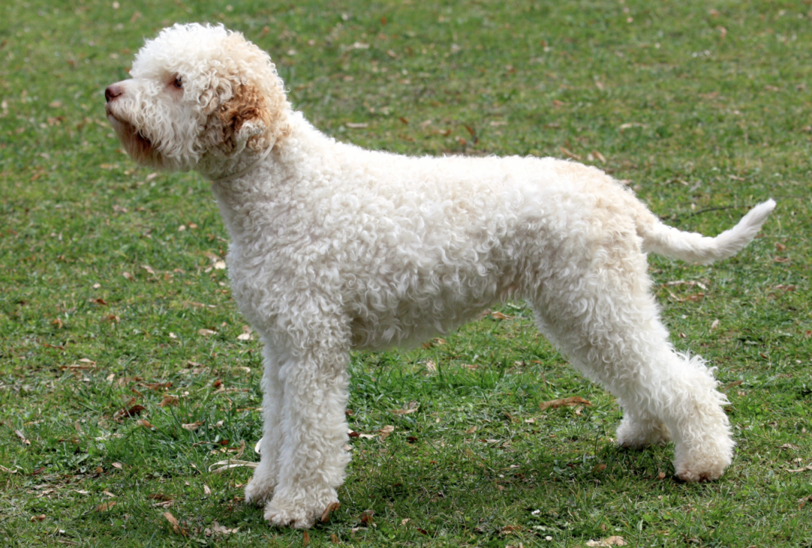 Screenshot 2020-04-05 at 21.07.26.png