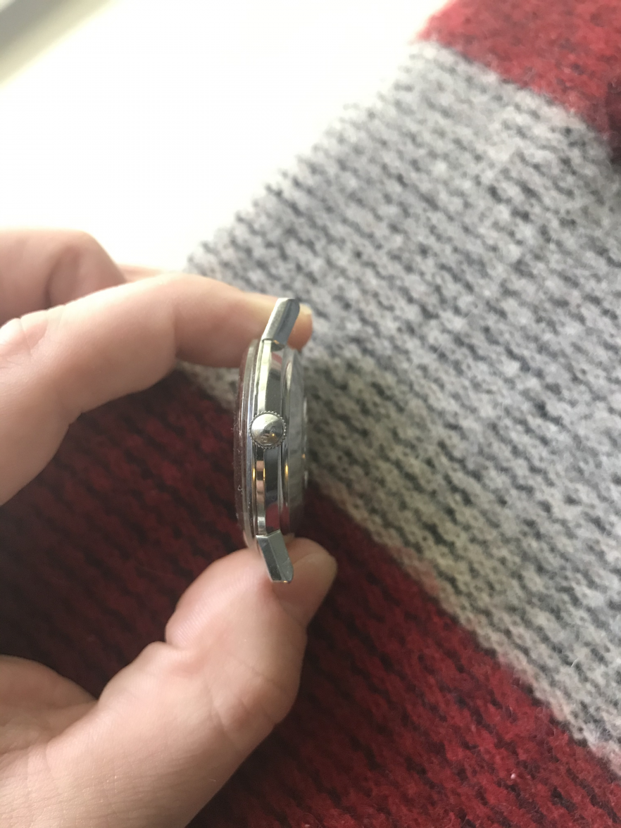 IMG_1986 2.png IMG_1986 2.png