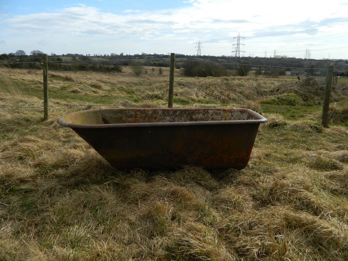 48E3F9E5-1676-4822-8936-23A7E2C404C4.jpeg 48E3F9E5-1676-4822-8936-23A7E2C404C4.jpeg