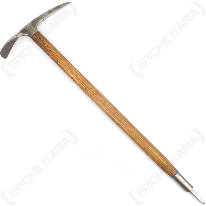 image.jpeg image.jpeg