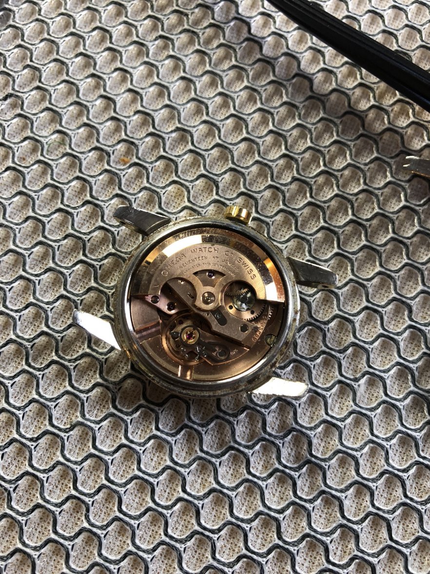 2AAB0D3B-6F27-4937-946A-B74416AD898A.jpeg 2AAB0D3B-6F27-4937-946A-B74416AD898A.jpeg