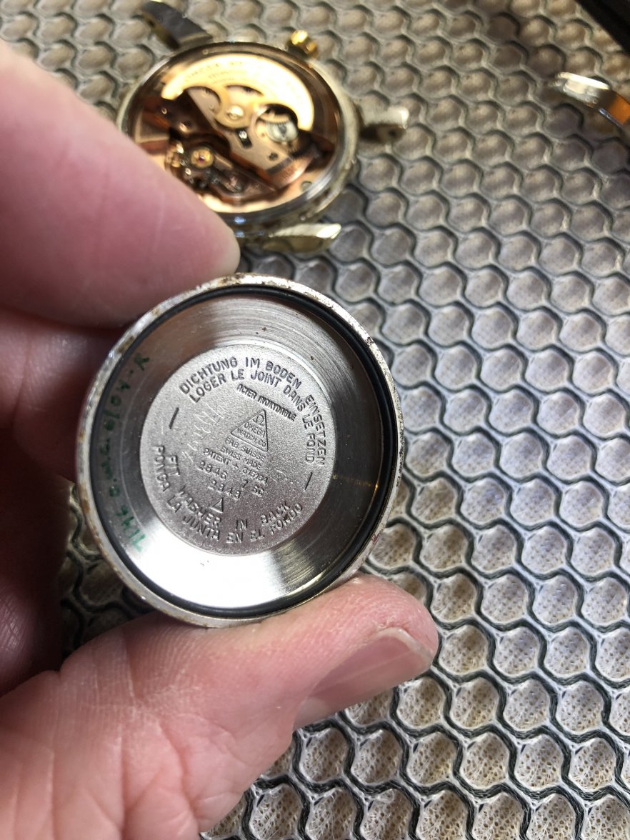 460F9A97-B0B3-40EA-A0A8-86336327CF3D.jpeg 460F9A97-B0B3-40EA-A0A8-86336327CF3D.jpeg