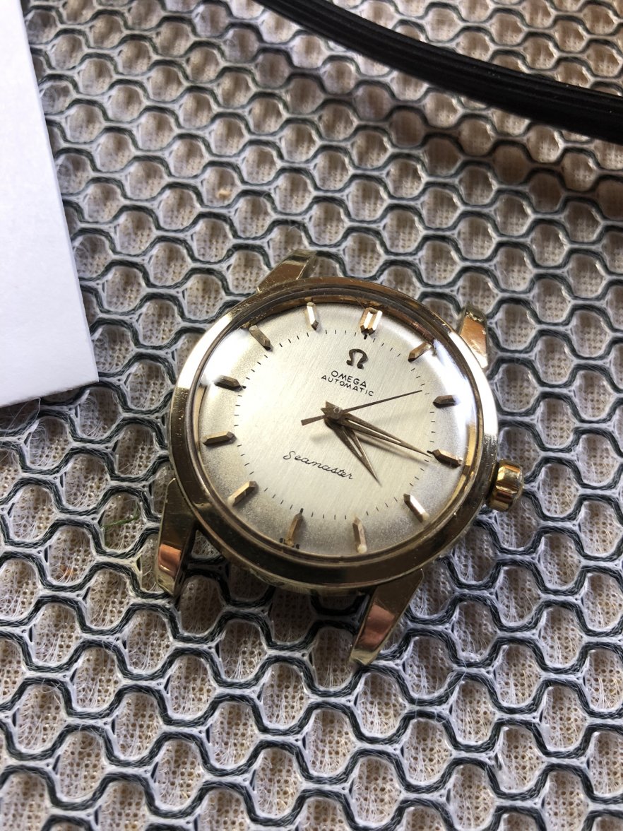 1D09E9F0-28A3-4DE3-B339-31C73805EB8B.jpeg 1D09E9F0-28A3-4DE3-B339-31C73805EB8B.jpeg