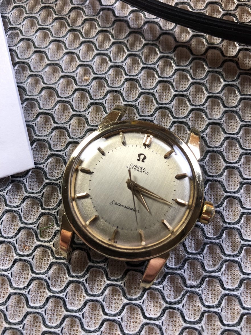 C02361F1-DEF6-4877-B810-8D1278A8AF1B.jpeg C02361F1-DEF6-4877-B810-8D1278A8AF1B.jpeg