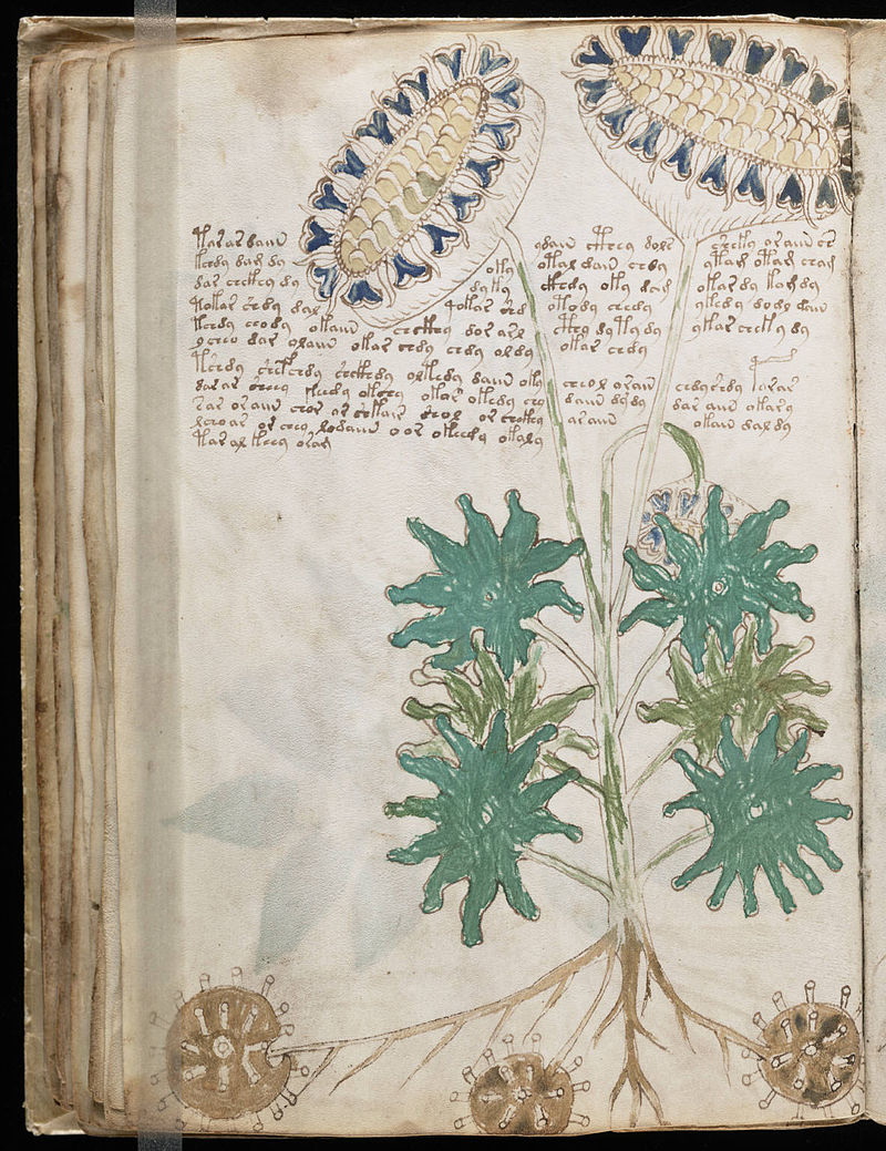 800px-Voynich_Manuscript_(66).jpg