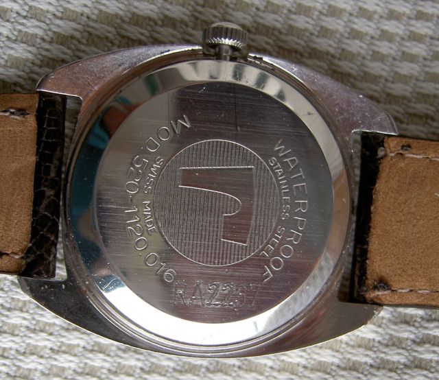 roamer anfibio (3).jpg