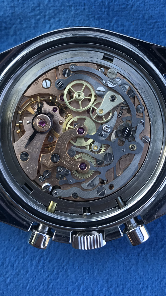 movement 145 0012.PNG