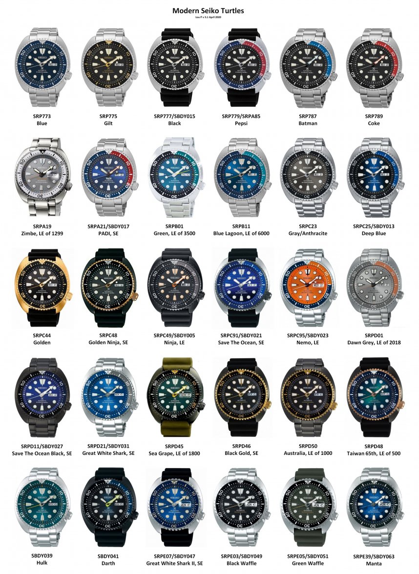 Turtle Montage Lou P v3.1.jpg