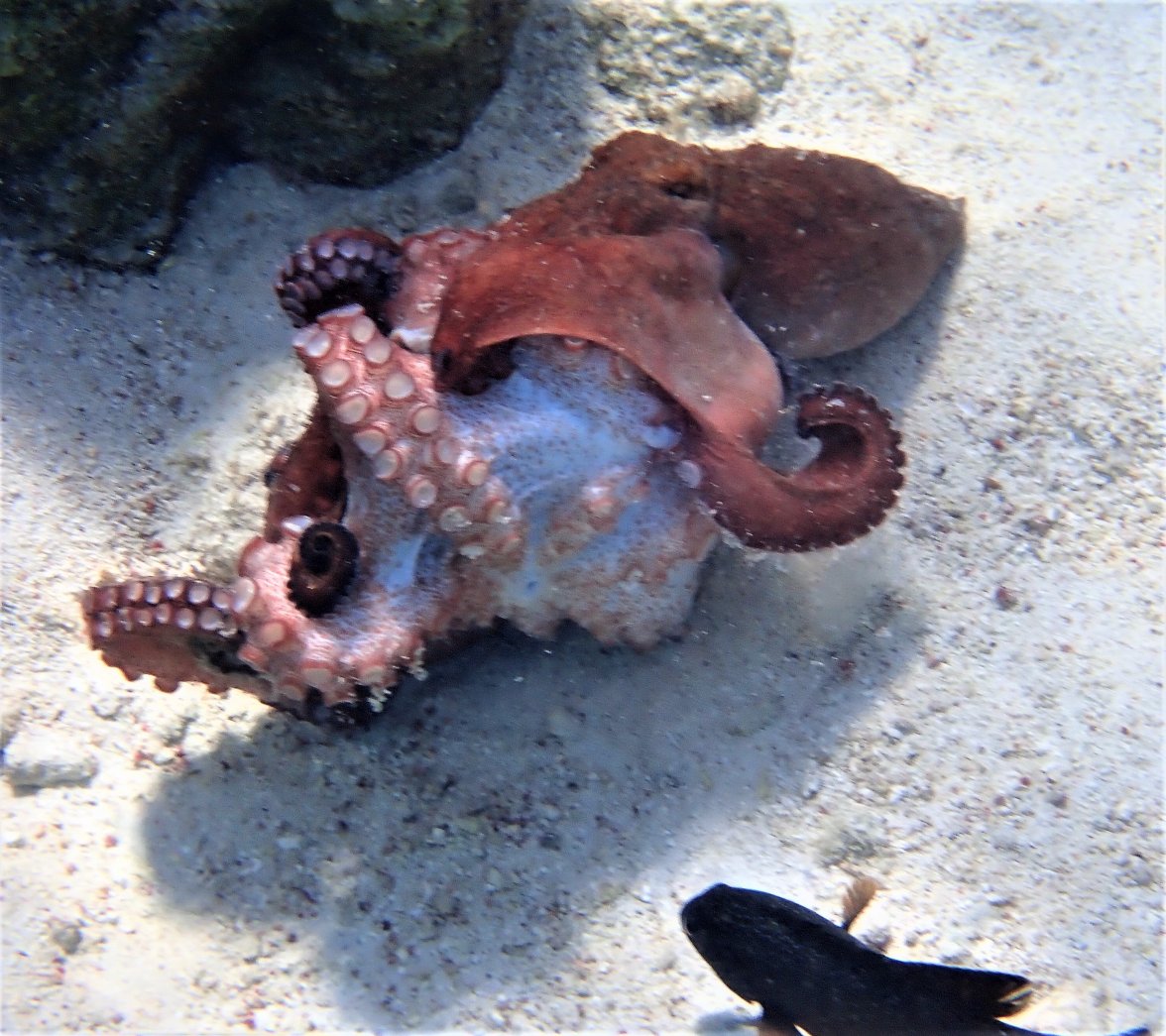 P2030064-1.jpg P2030064-1.jpg