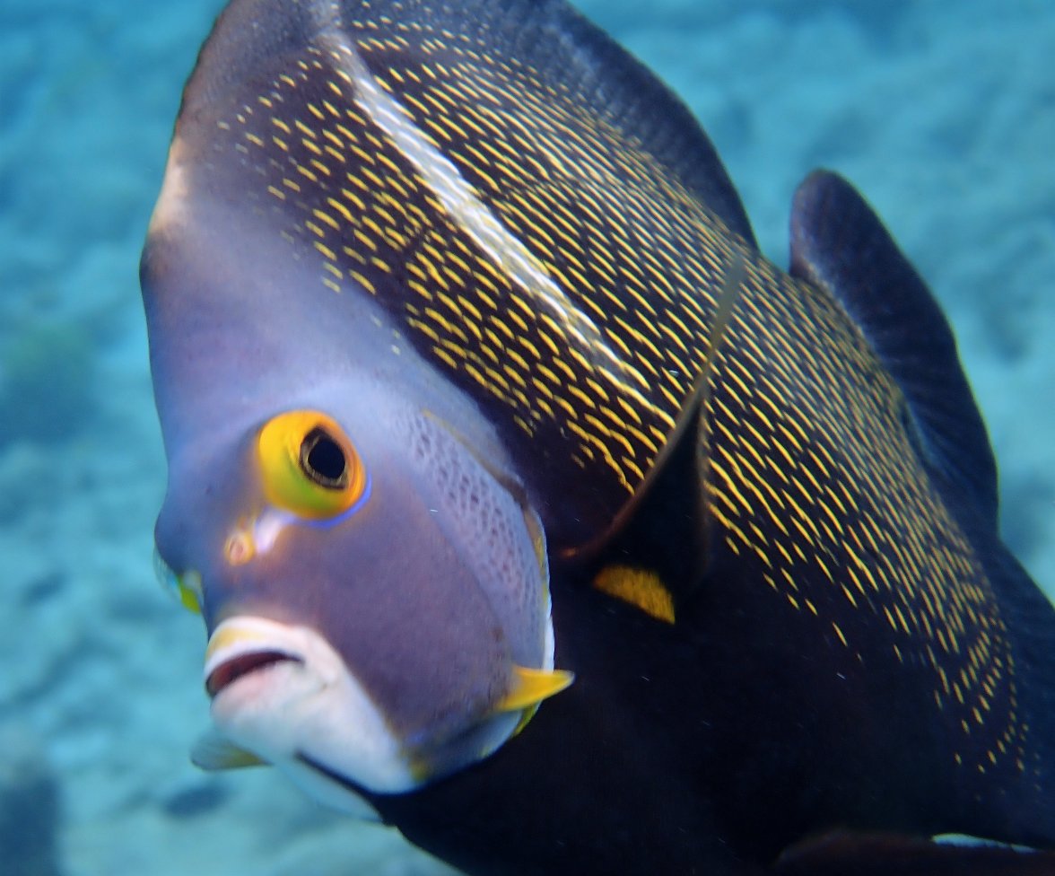 P2050092.JPG P2050092.JPG