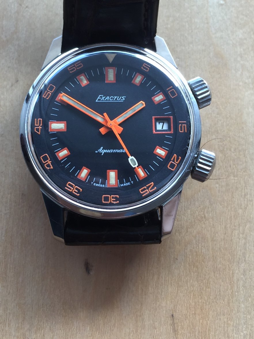 IMG_8973.jpg IMG_8973.jpg