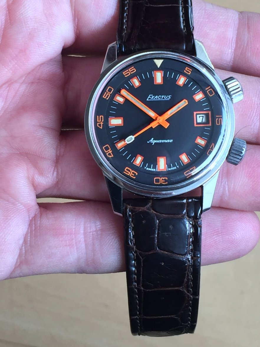 IMG_8982.JPG IMG_8982.JPG