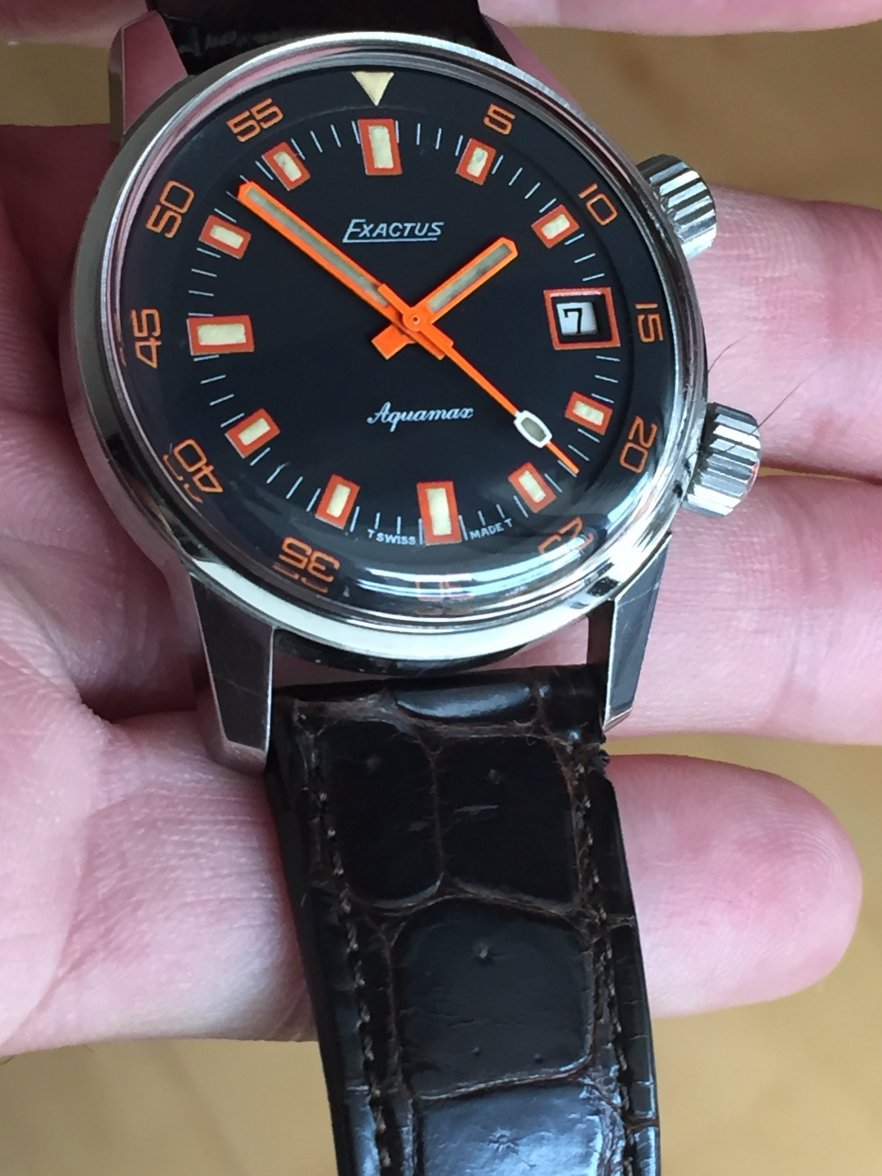 IMG_8985.JPG IMG_8985.JPG