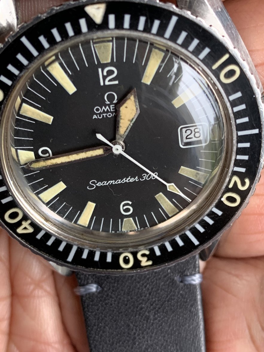 IMG_2285.jpeg IMG_2285.jpeg