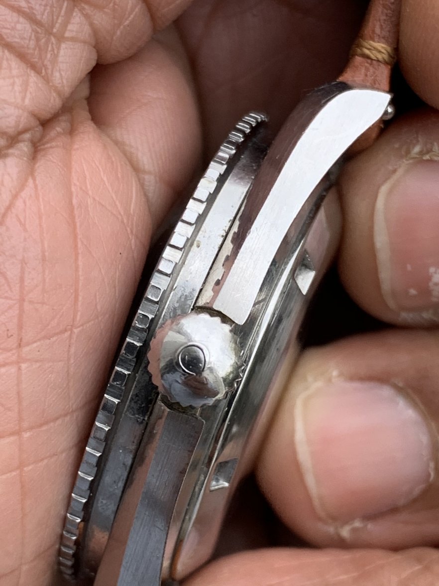 IMG_2295.jpeg IMG_2295.jpeg