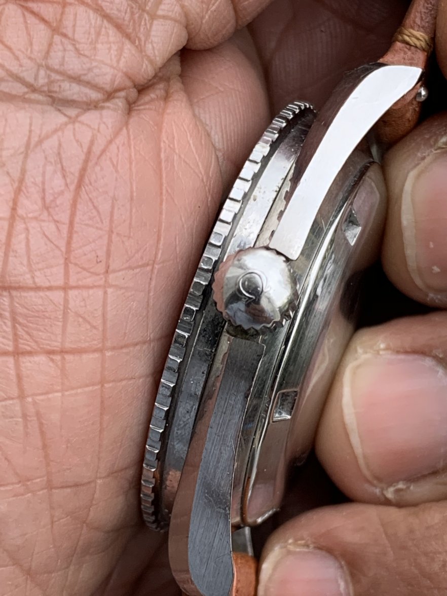 IMG_2296.jpeg IMG_2296.jpeg