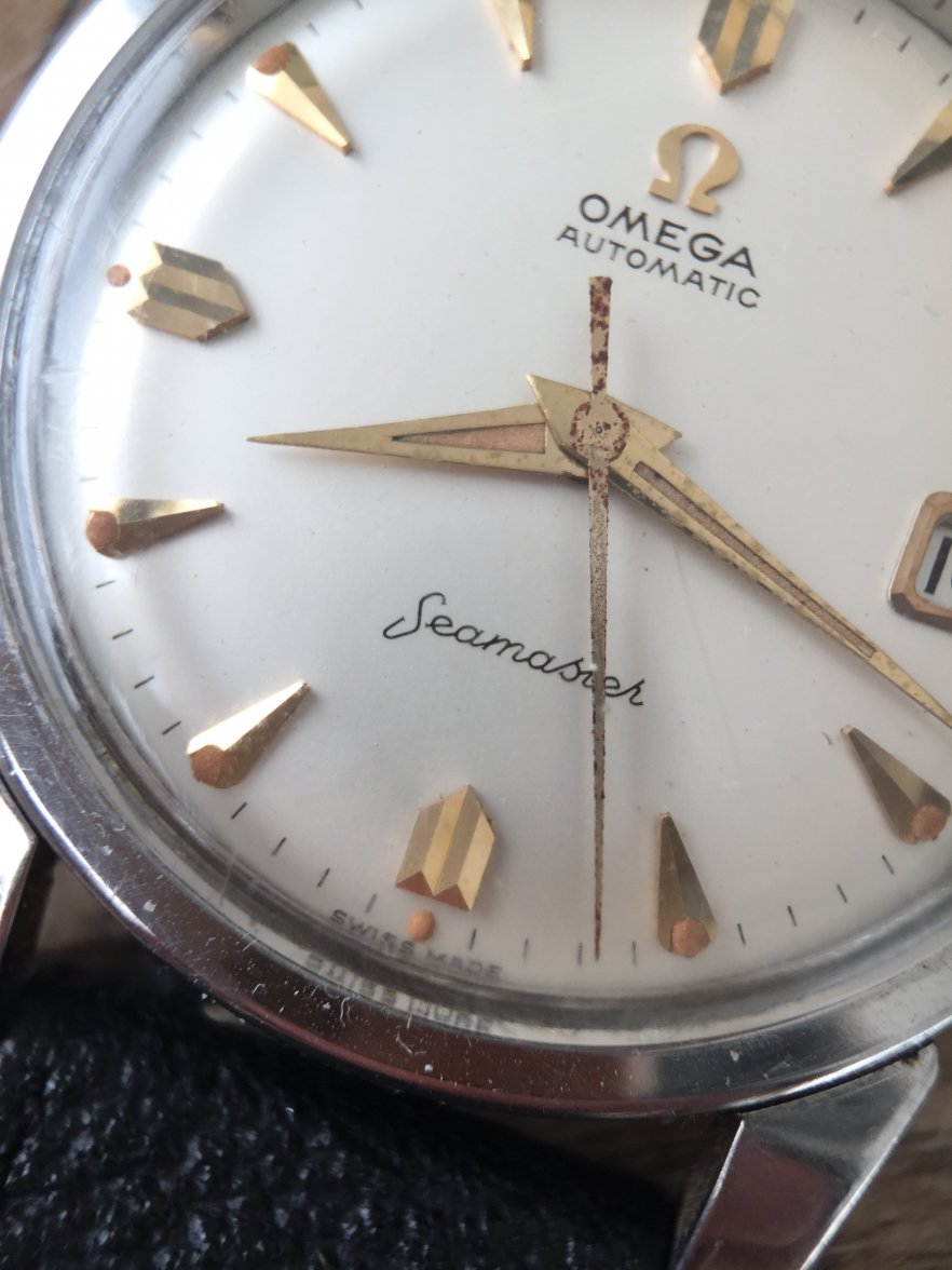 IMG_3225.jpeg IMG_3225.jpeg