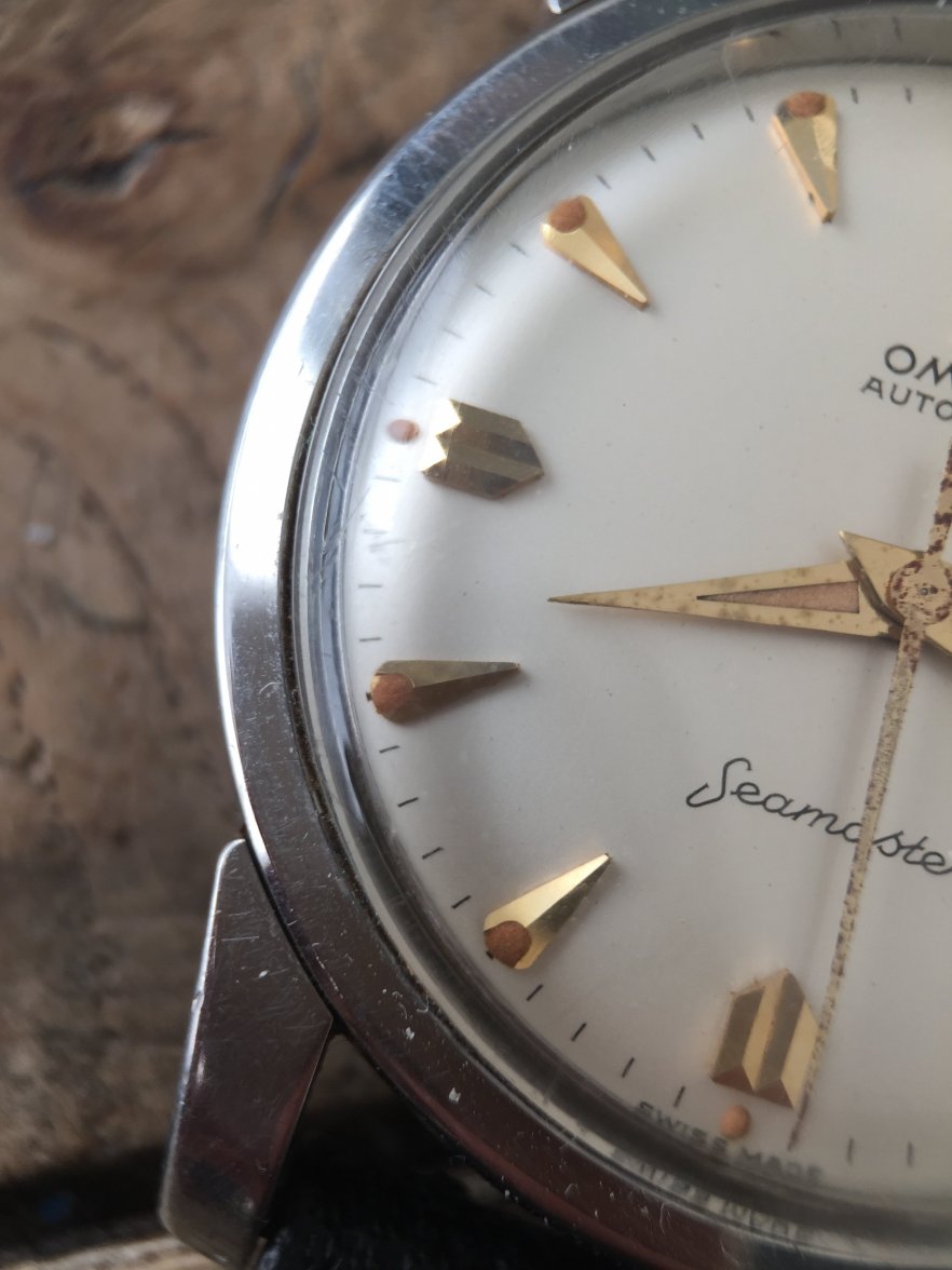 IMG_3226.jpeg IMG_3226.jpeg