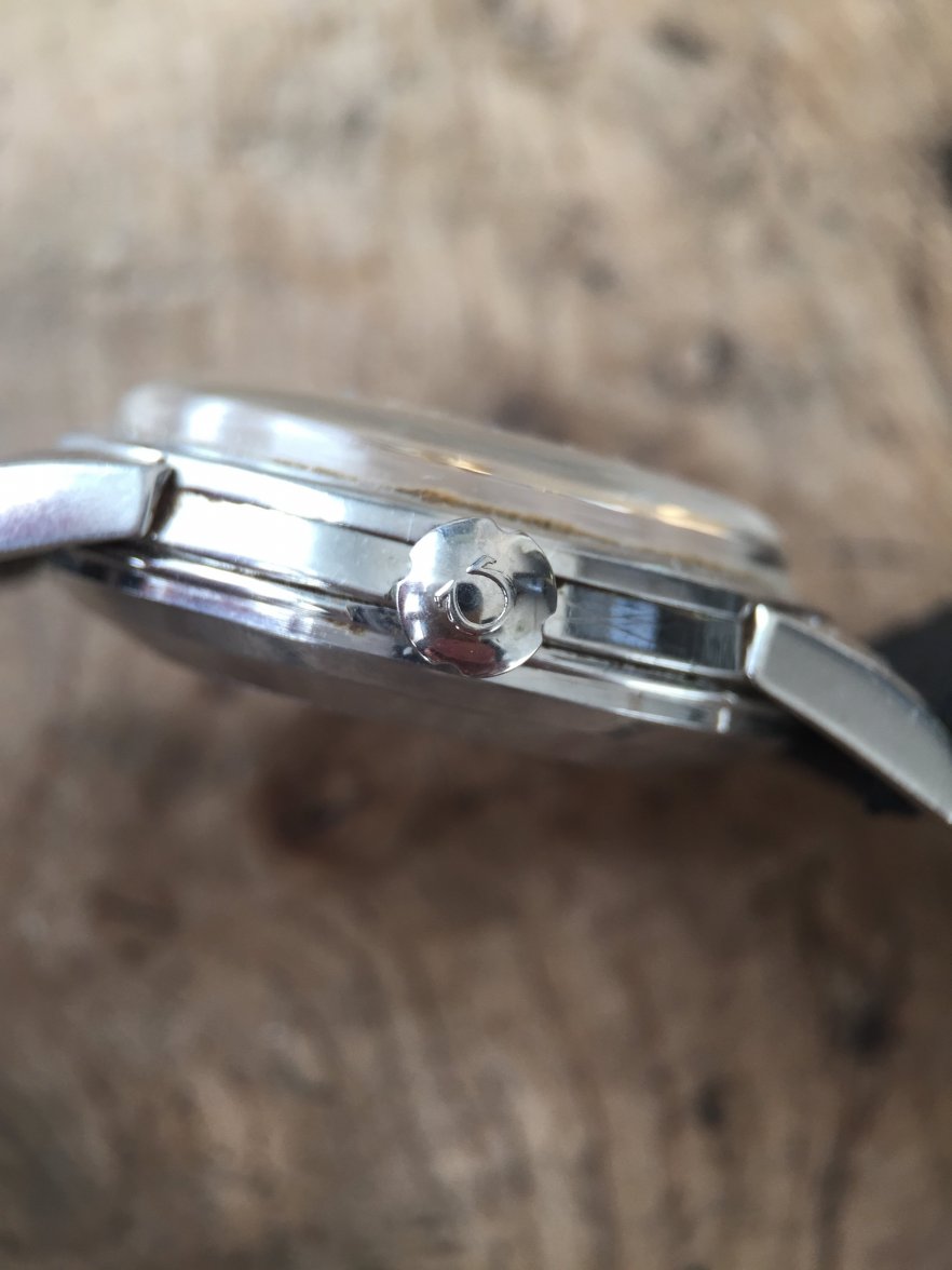 IMG_3228.jpeg IMG_3228.jpeg